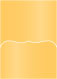 Amber Pocket Card 5 1/4 x 7 1/4 - 10/Pk