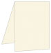 Milkweed Portrait Card 3 1/2 x 5 - 25/Pk