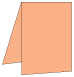 Ginger Portrait Card 3 1/2 x 5 - 25/Pk