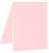Pink Feather Portrait Card 3 1/2 x 5 - 25/Pk