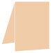 Latte Portrait Card 3 1/2 x 5 - 25/Pk