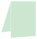 Green Tea Portrait Card 3 1/2 x 5 - 25/Pk