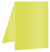 Lime Portrait Card 3 1/2 x 5 - 25/Pk