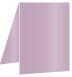 Violet Portrait Card 3 1/2 x 5 - 25/Pk