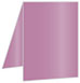 Punch Portrait Card 3 1/2 x 5 - 25/Pk