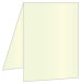 Mint Portrait Card 3 1/2 x 5 - 25/Pk