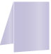 Vista Portrait Card 3 1/2 x 5 - 25/Pk