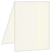 Citrine Portrait Card 3 1/2 x 5 - 25/Pk
