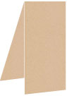 Desert Storm Portrait Card 4 x 9 - 25/Pk