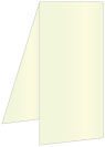 Mint Portrait Card 4 x 9 - 25/Pk