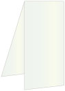 Metallic Aquamarine Portrait Card 4 x 9 - 25/Pk