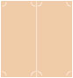 Latte Slit Folded Card 4 1/4 x 9 - 10/Pk