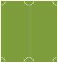 Iguana Slit Folded Card 4 1/4 x 9 - 10/Pk