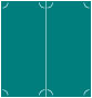 Fiji Slit Folded Card 4 1/4 x 9 - 10/Pk