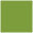 Iguana Square Flat Card 2 3/4 x 2 3/4 - 25/Pk