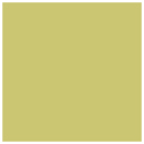 Tropical Green Square Flat Card 2 3/4 x 2 3/4 - 25/Pk