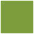 Iguana Square Flat Card 4 1/2 x 4 1/2 - 25/Pk