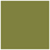 Olive Square Flat Card 4 1/2 x 4 1/2 - 25/Pk