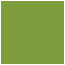 Iguana Square Flat Card 5 3/4 x 5 3/4 - 25/Pk
