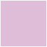 Purple Lace Square Flat Card 6 x 6 - 25/Pk