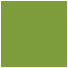 Iguana Square Flat Card 6 x 6 - 25/Pk