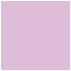Purple Lace Square Flat Card 6 1/4 x 6 1/4 - 25/Pk