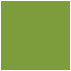 Iguana Square Flat Card 6 1/4 x 6 1/4 - 25/Pk