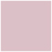 Lily Square Flat Card 6 3/4 x 6 3/4 - 25/Pk
