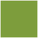 Iguana Square Flat Card 6 3/4 x 6 3/4 - 25/Pk