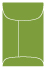Iguana Mini Top Open Envelope 2 1/4 x 3 1/2 - 25/Pk