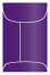 Purple Mini Top Open Envelope 2 1/4 x 3 1/2 - 25/Pk