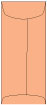Ginger Top Open Envelope 4 1/8 x 9 1/2 - 25/Pk