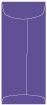 Amethyst Top Open Envelope 4 1/8 x 9 1/2 - 25/Pk