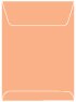 Ginger Top Open Envelope 5 1/2 x 7 1/2 - 25/Pk