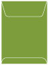 Iguana Top Open Envelope 5 1/2 x 7 1/2 - 25/Pk