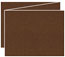 Coco Trifold Card 5 1/2 x 4 1/4 - 10/Pk