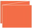 Electric Orange Trifold Card 5 1/2 x 4 1/4 - 10/Pk