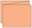 Ginger Trifold Card 5 1/2 x 4 1/4 - 10/Pk