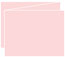 Pink Feather Trifold Card 5 1/2 x 4 1/4 - 10/Pk