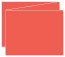 Coral Trifold Card 5 1/2 x 4 1/4 - 10/Pk
