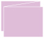 Purple Lace Trifold Card 5 1/2 x 4 1/4 - 10/Pk