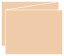 Latte Trifold Card 5 1/2 x 4 1/4 - 10/Pk