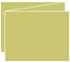 Tropical Green Trifold Card 5 1/2 x 4 1/4 - 10/Pk