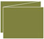 Olive Trifold Card 5 1/2 x 4 1/4 - 10/Pk