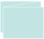 Daffy Blue Trifold Card 5 1/2 x 4 1/4 - 10/Pk