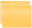 Amber Trifold Card 5 1/2 x 4 1/4 - 10/Pk