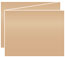 Cappuccino Trifold Card 5 1/2 x 4 1/4 - 10/Pk
