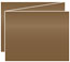 Bronze Trifold Card 5 1/2 x 4 1/4 - 10/Pk