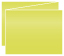 Lime Trifold Card 5 1/2 x 4 1/4 - 10/Pk