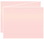 Rose Trifold Card 5 1/2 x 4 1/4 - 10/Pk
